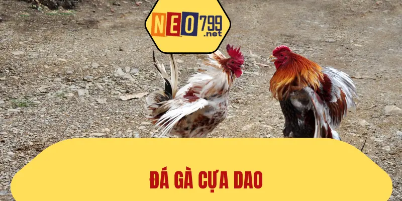 Đá Gà Cựa Dao – Sản Phẩm Kịch Tính, Thách Thức Tại NEO79 1 Đá Gà Cựa Dao